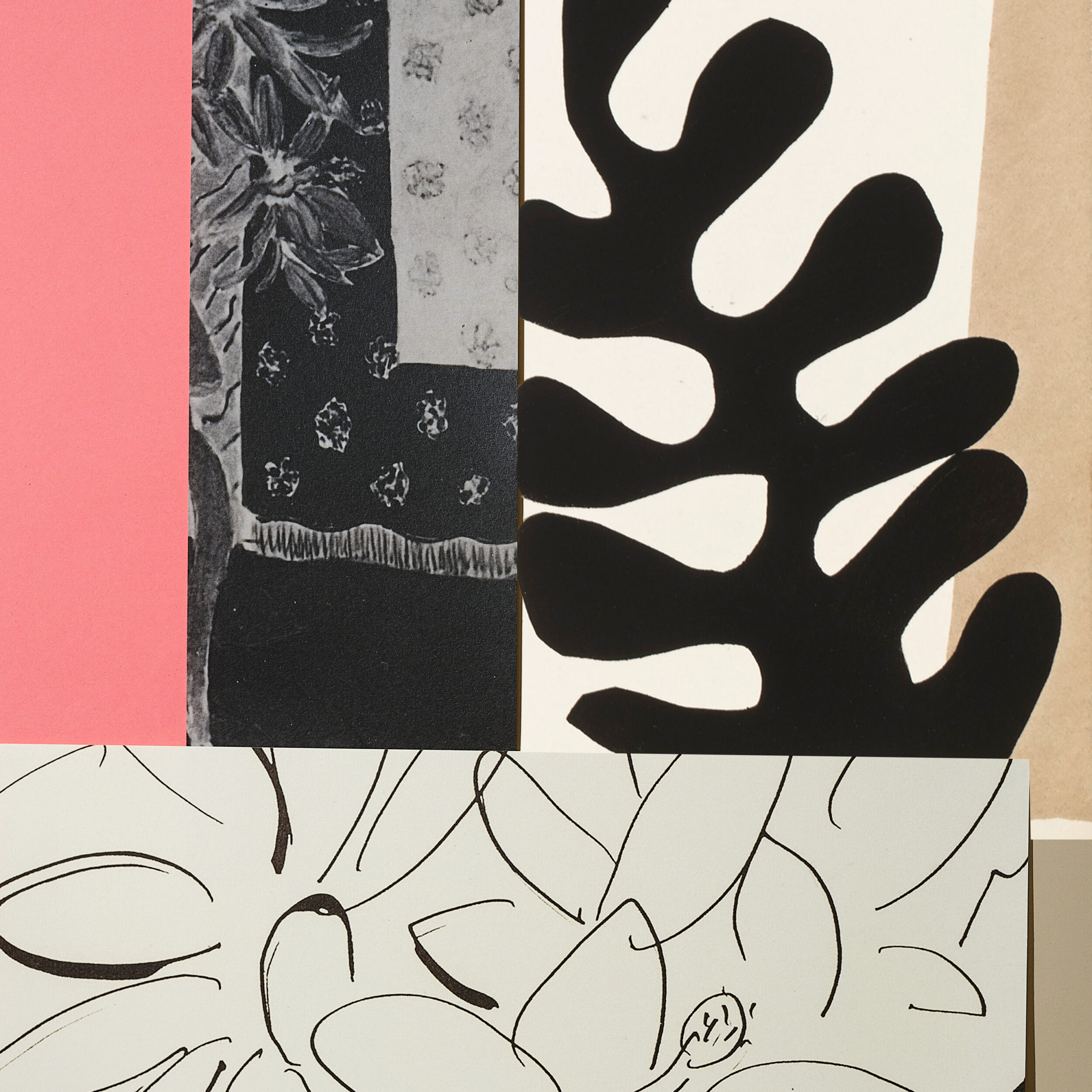 Esquisses - Maison Matisse