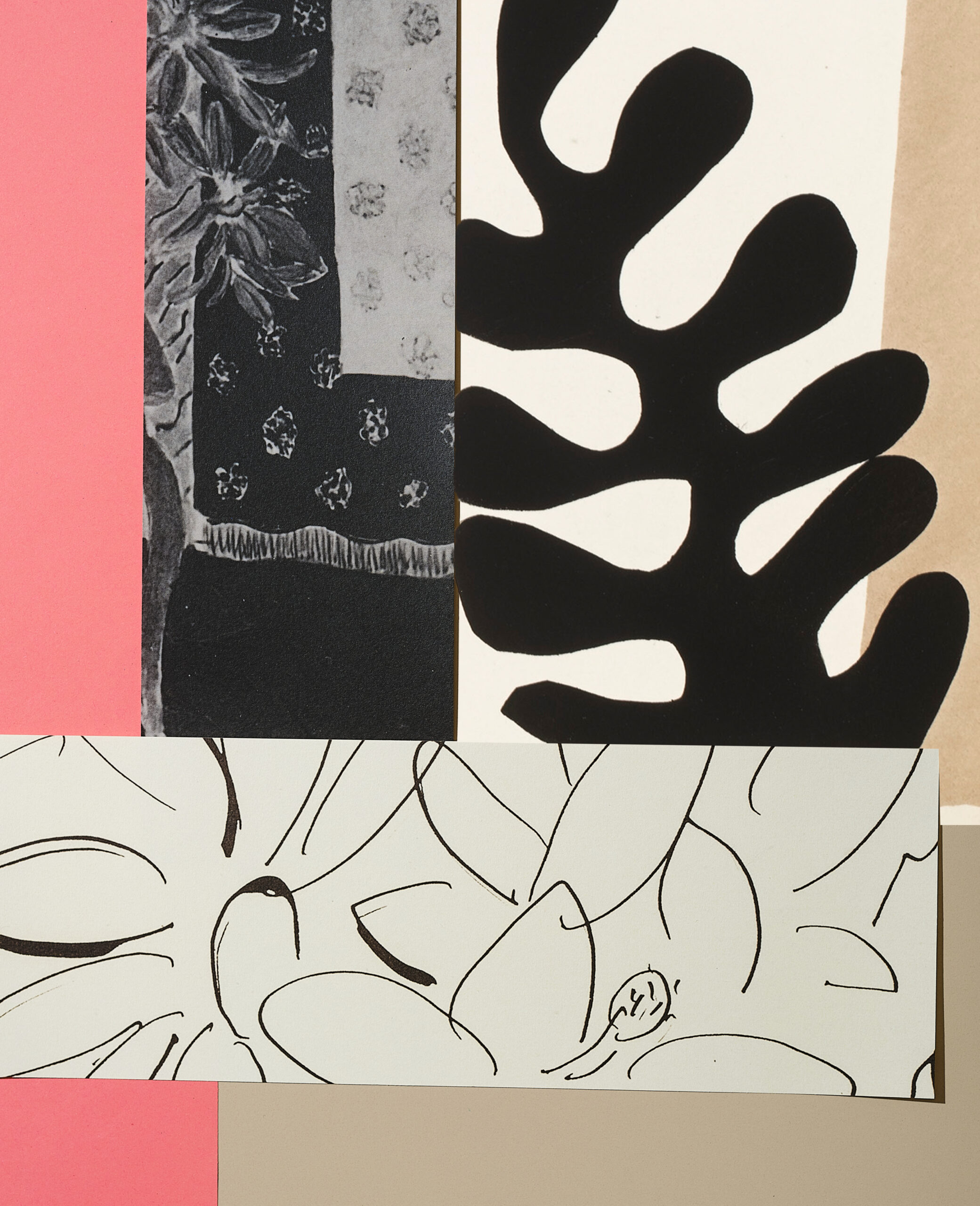 Esquisses - Maison Matisse