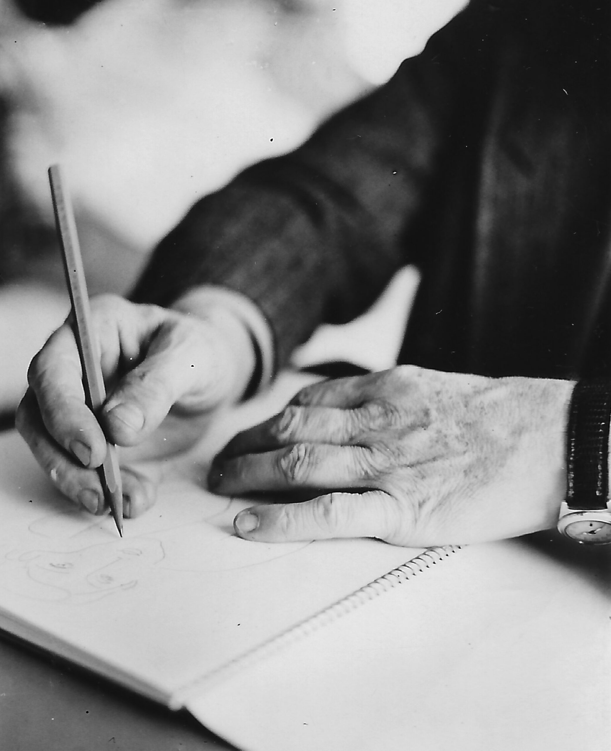 La Maison - Maison Matisse